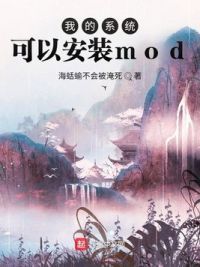 我的系统可以安装mod