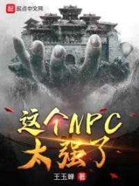 这个NPC太强了